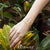 สร้อยข้อมือสแตนเลส รูปหัวใจ ดีไซน์สวยหวาน น่ารัก รุ่น MNC-BR479 - สร้อยข้อมือแฟชั่น สร้อยข้อมือผู้หญิง